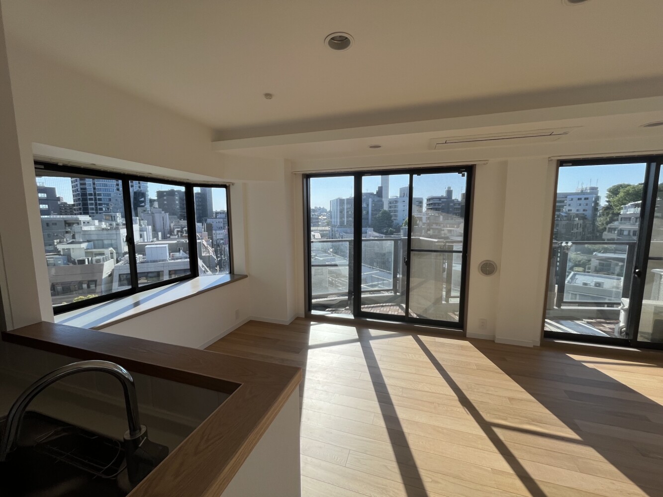 網入りガラスにNANO80S施工